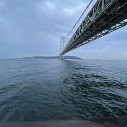 ジグサビキでアジ