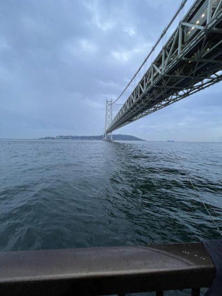 ジグサビキでアジ