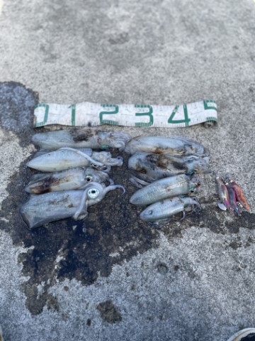 2025 佐渡ヶ島エギング Vol.20【9月28日】