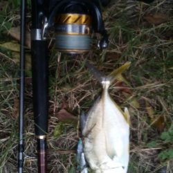 本日の釣行は楽しかったです＾＾。