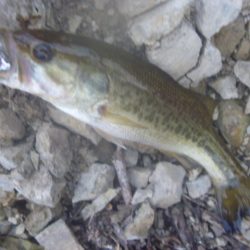 10月15日　一庫ダム釣行