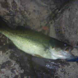 10月18日　一庫ダム釣行