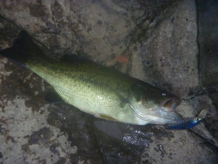 10月18日　一庫ダム釣行