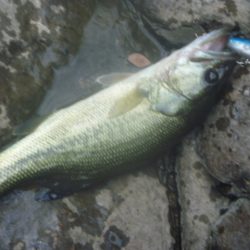10月19日 一庫ダム釣行