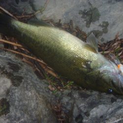 10月22日 一庫ダム釣行