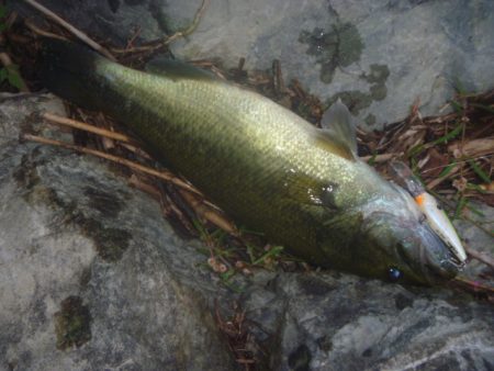 10月22日 一庫ダム釣行