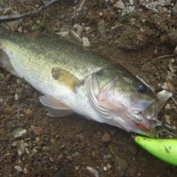 一庫ダム釣行　10月28日