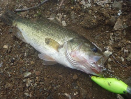 一庫ダム釣行　10月28日