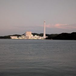 久しぶりの大物です。