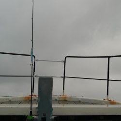 伊勢湾サワラキャスティング