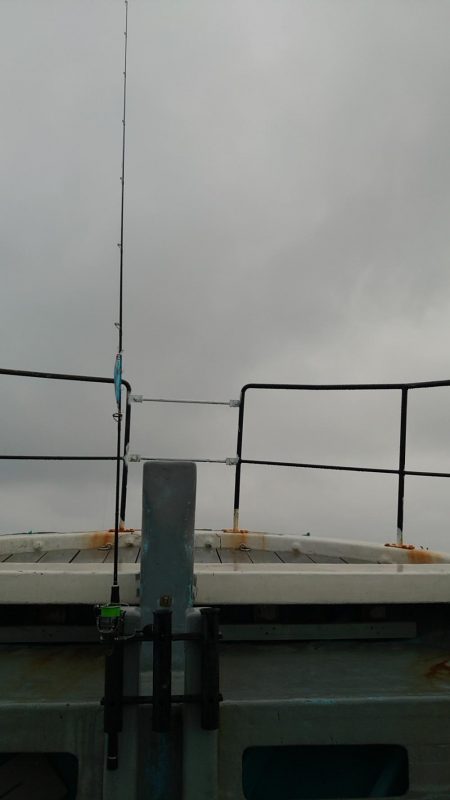 伊勢湾サワラキャスティング