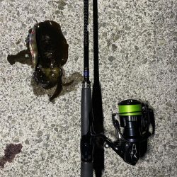 テンヤ改&エギング