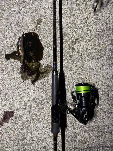 テンヤ改&エギング