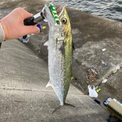 サゴシ祭り参加も貧打