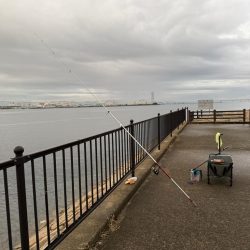 キス釣り、五目釣り