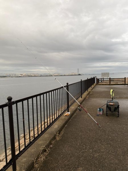 キス釣り、五目釣り