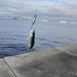 サバゲーでプラクティス