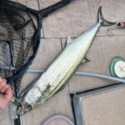 サワラカッター地獄