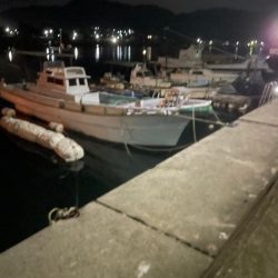 エギング　厳しい………