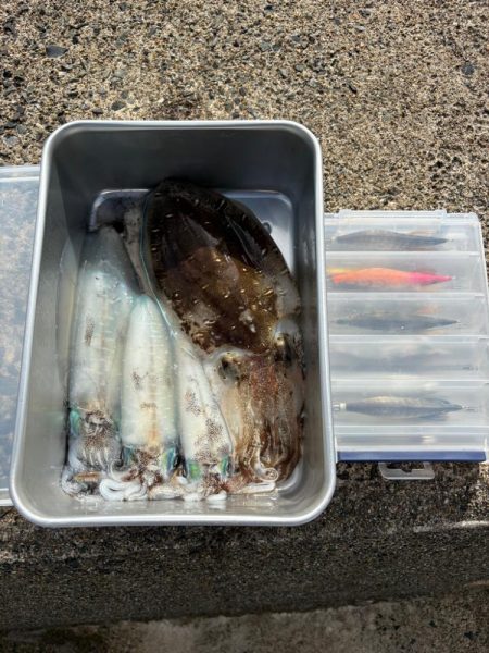 晩御飯の一品が…