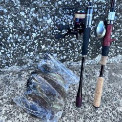 【ティップラン】館山アジロボートで有意義な…