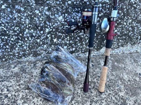 【ティップラン】館山アジロボートで有意義な…