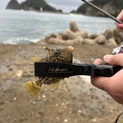 秋イカ探し　失敗2