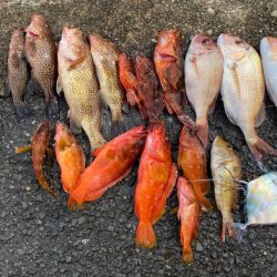 カヤックフィッシング