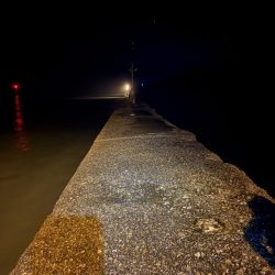 雨のアジング強行