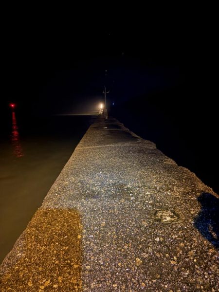 雨のアジング強行