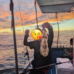 ティップランエギング