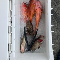 ダイソーインチク