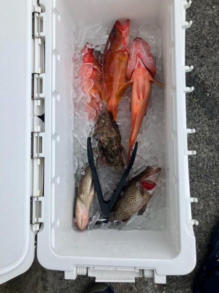 ダイソーインチク