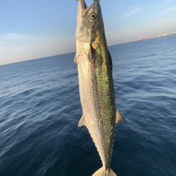 朝マヅメサゴシ