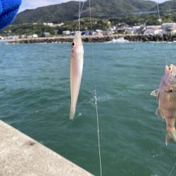 淡路島釣行!