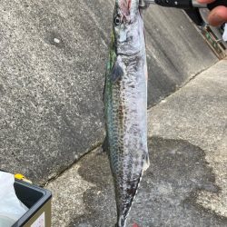 まだ祭り継続で多種の参加