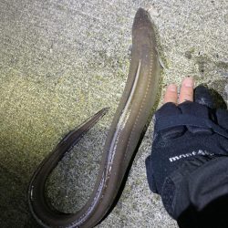 寒いけど楽しい釣行