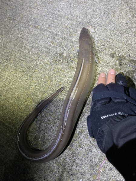 寒いけど楽しい釣行