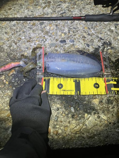 秋🦑　潮が大事！😊