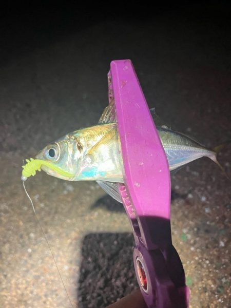 月明かりあると難しい