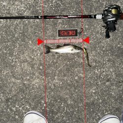 どんどんちっちゃくなる…泣