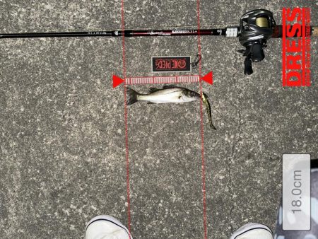 どんどんちっちゃくなる…泣