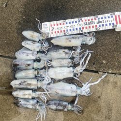 アオリがやっとツー抜き