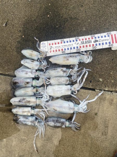 アオリがやっとツー抜き