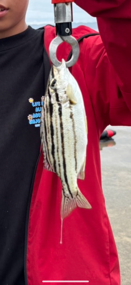 ファミリーフィッシング🎣