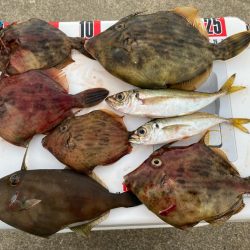 今シーズン初ウマズラ！