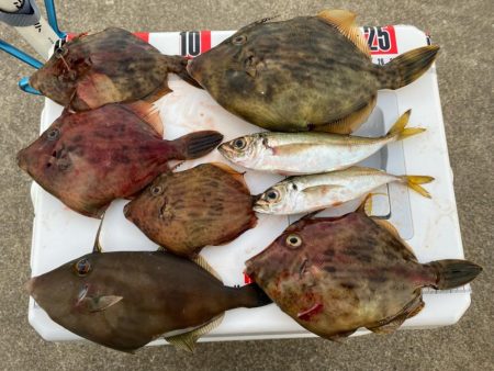 今シーズン初ウマズラ！