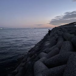 メジロがデタ！