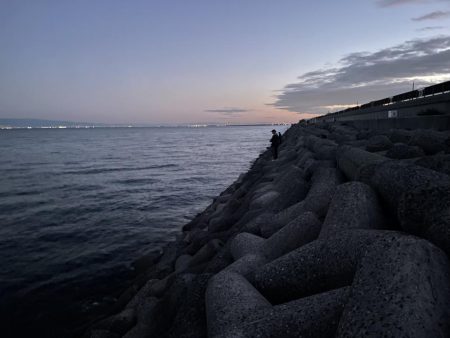 メジロがデタ！