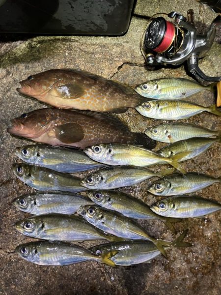 潮とひらめっこの悶絶アジング